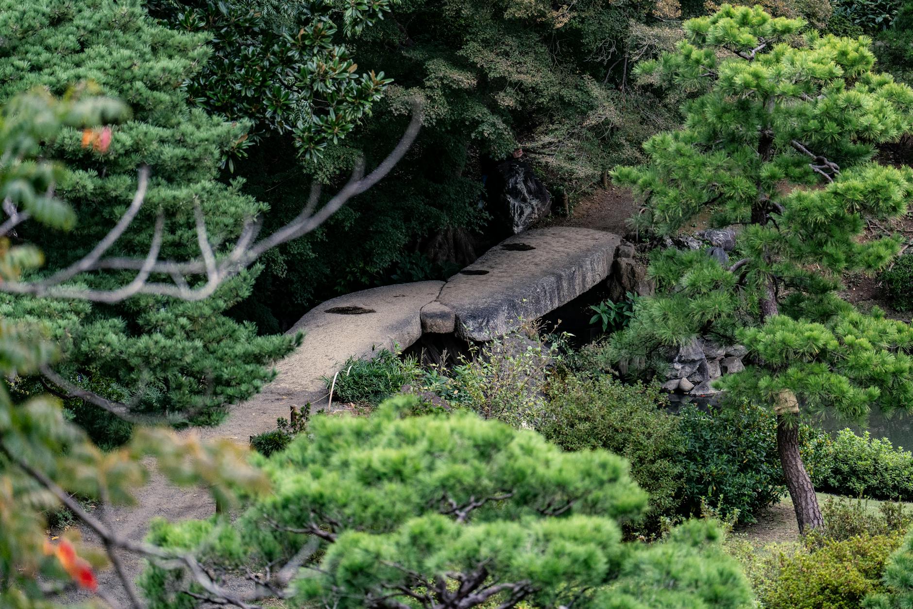 Kyoto- The Beauty Of Traditional Japan